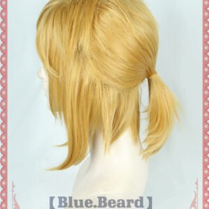 Link Wig The Legend Of Zelda – Blue Beard